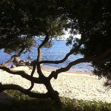 Valinco Village 홀리데이파크