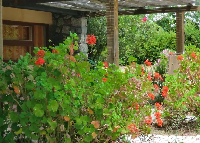 Valinco Village Tatil parkı Porto Pollo